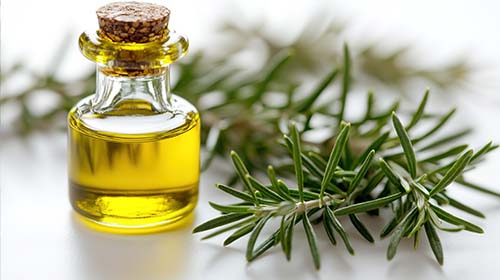 Rosemary Oil