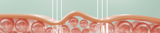 Common Signs of a Weakened Skin Barrier & How to Fix It