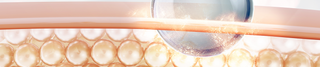 The Right Skincare Starts with Caring for Your Skin Barrier: Skin Barrier 101